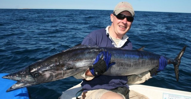 The unluckiest wahoo north of the cape